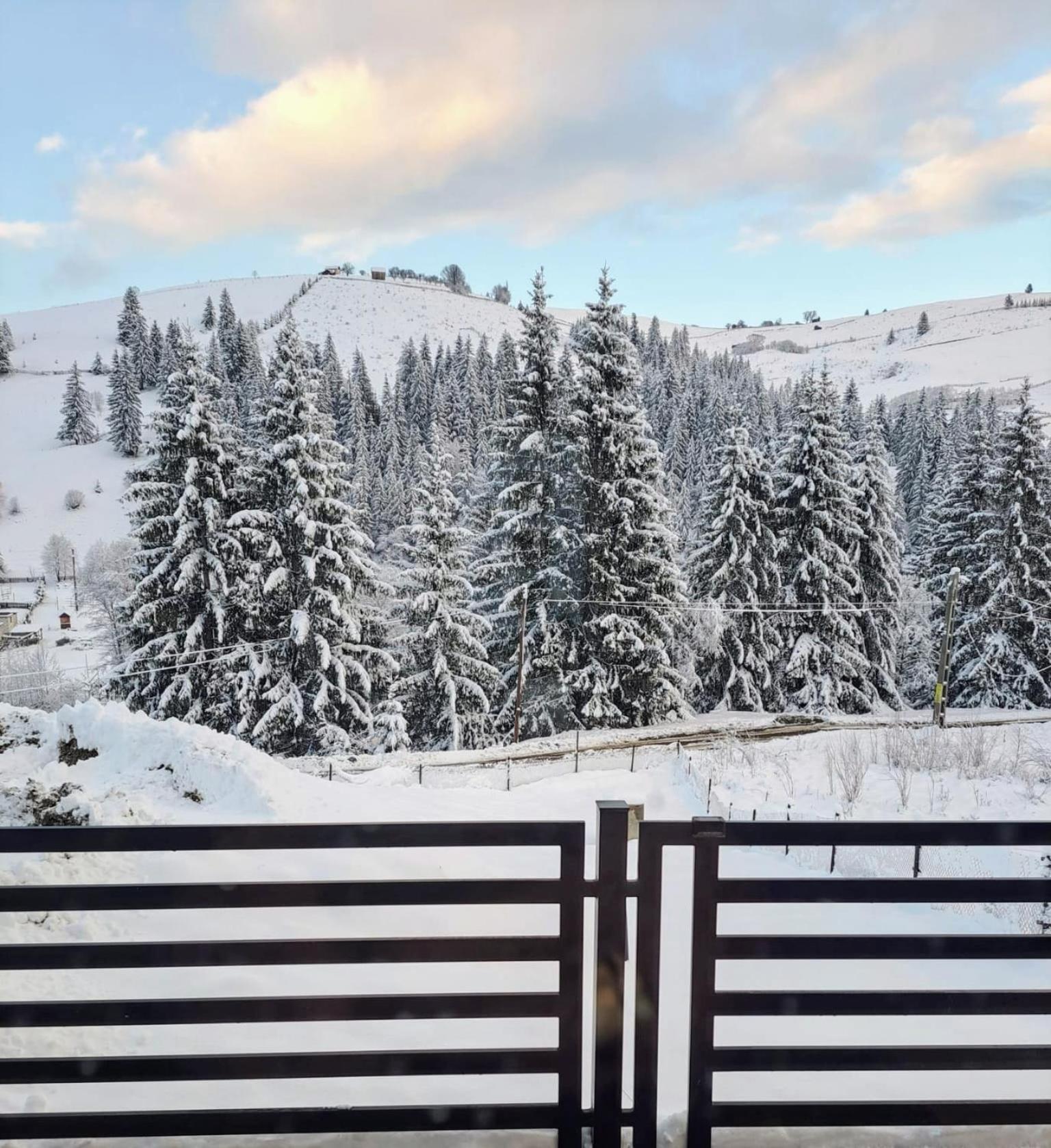 Hotel A Pisc Vatra Moldoviţei Zewnętrze zdjęcie